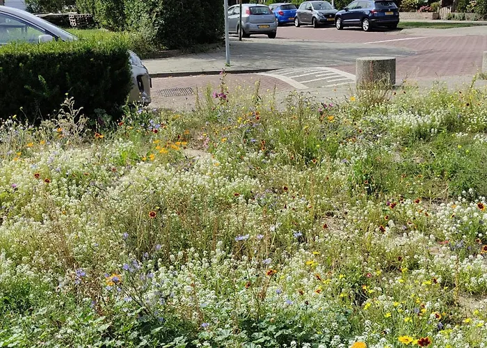 Yuki Casa de Férias