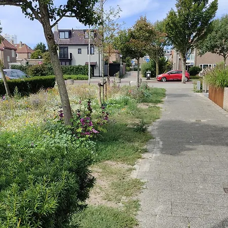 Yuki * Zandvoort