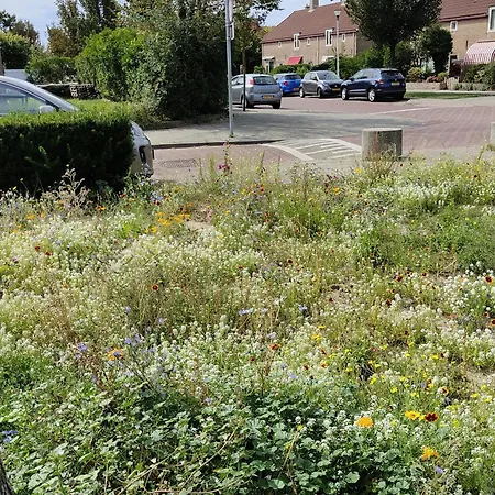 Yuki Сasa de vacaciones