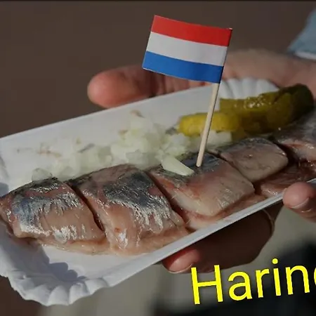 Yuki Prázdninový dům *