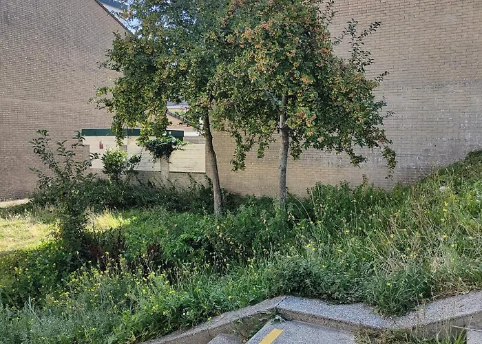 Yuki Nyaraló Zandvoort