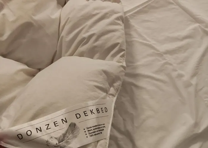 Casa de Férias Yuki